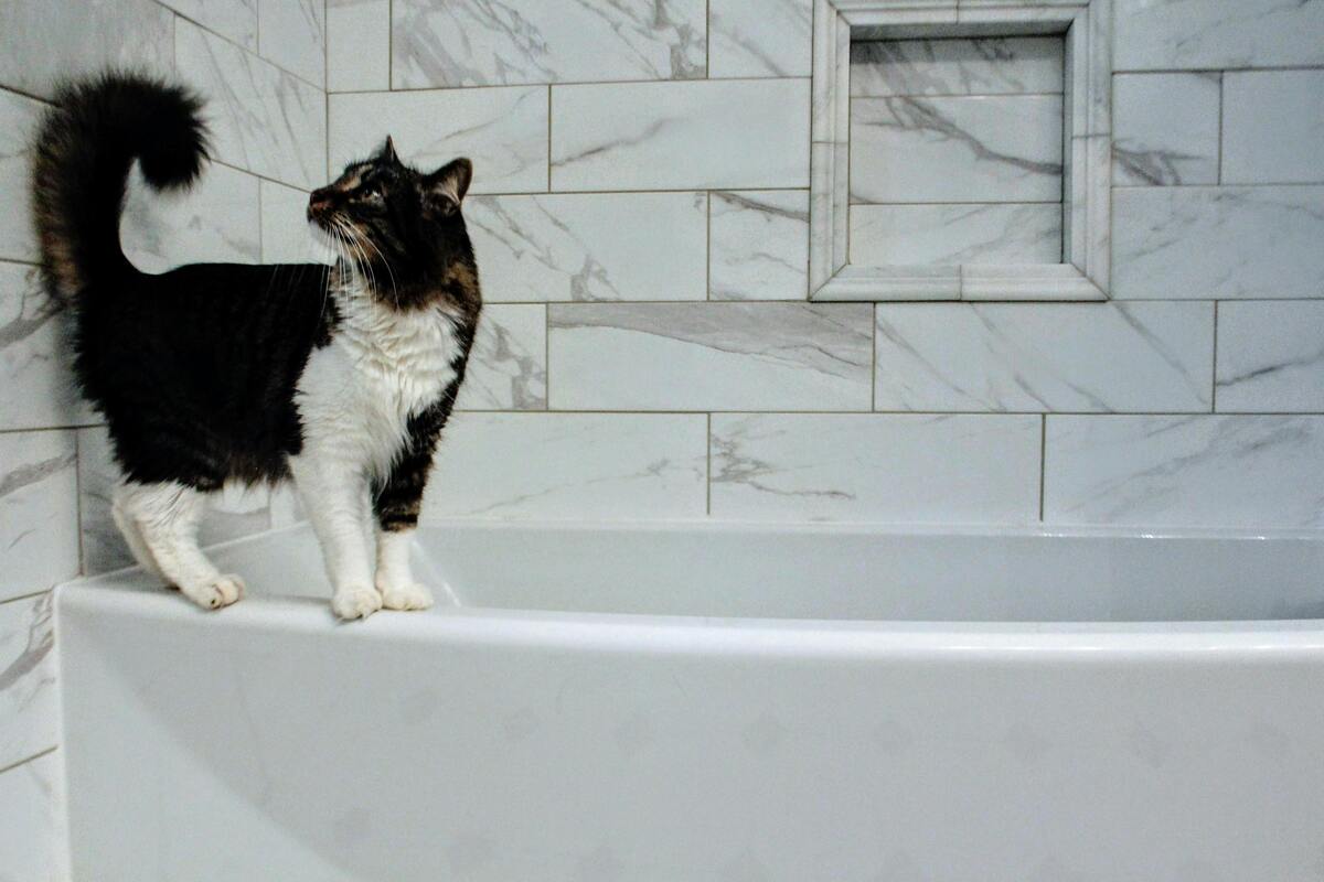 How To Clean A Bathtub With Ease: Top Tips