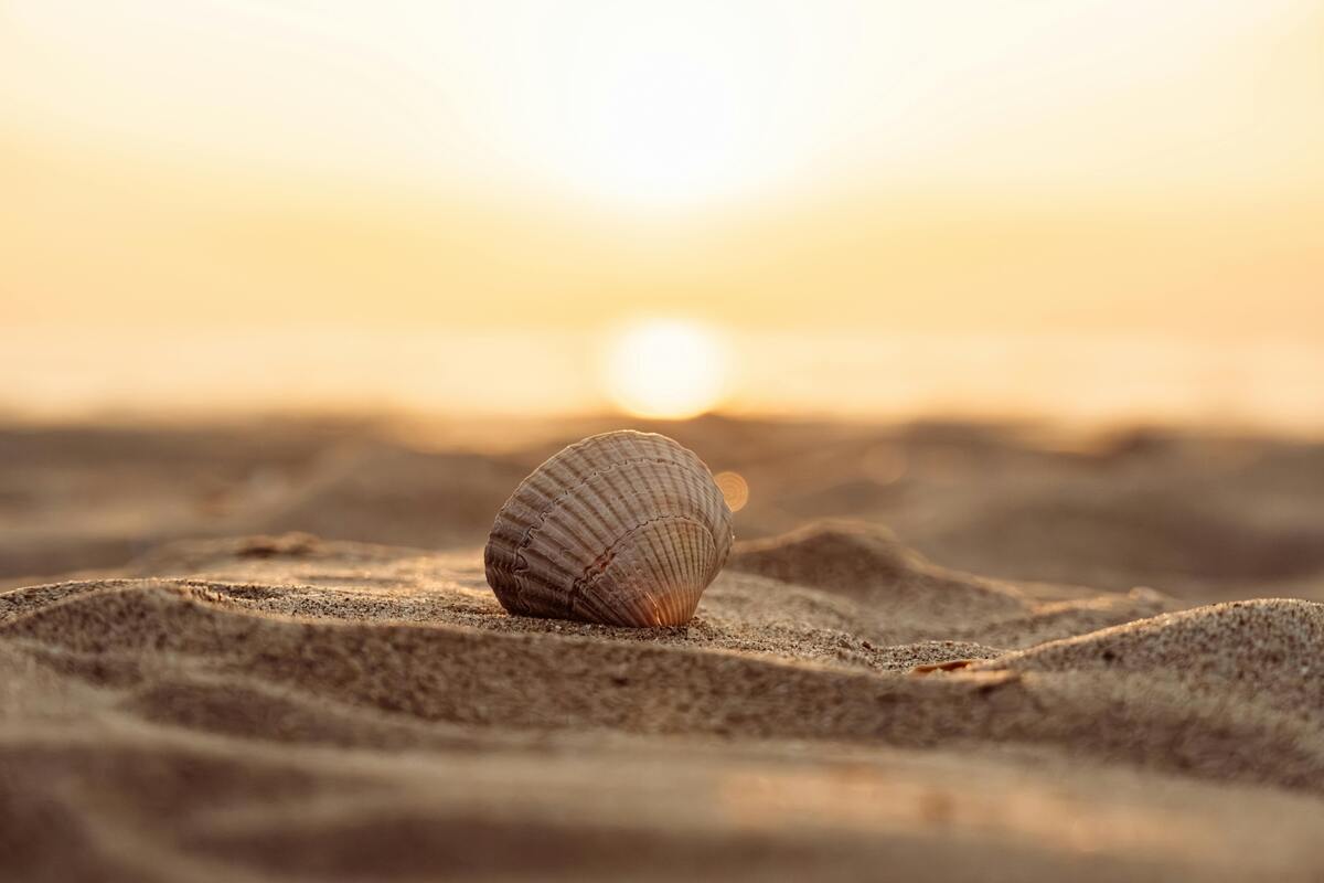 seashell on sand and a sunset, beach themed bathroom